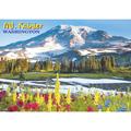 Washington Mt Rainier with Flowers