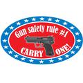 Gun Rule