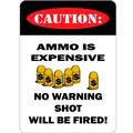 Ammo Expensive