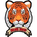 Tiger Head Banner