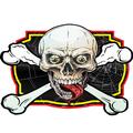 Skull Crossbones Web
