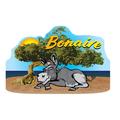 Bonaire