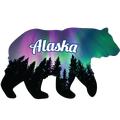Northern Lights Bear