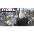 Eagles Photo