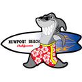 Walking Surfboard Shark