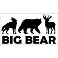 Big Bear