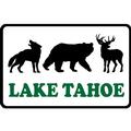 Lake Tahoe