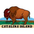Catalina Island