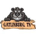 Gatlinburg, TN