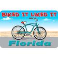 Florida Biked It Liked It Cruiser