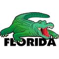 Alligator