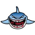 Shark Front