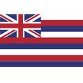 Hawaiian Flag