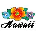 Hawaii Triple Hibiscus