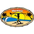 Hawaii Endless Summer