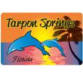 Dolphin Sunset