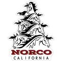 Black Copper Horse Triangle