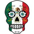 Mexican Flag Skull