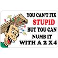 You Cant Fix Stupid