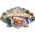 Seashells with Banner