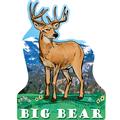 Big Bear, CA