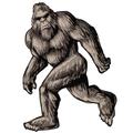 Angry Brown Bigfoot