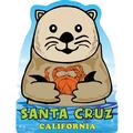 Santa Cruz, California