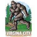 Virginia City