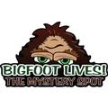The Mystery Spot