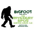 The Mystery Spot