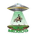 New Mexico 