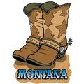 Cowboy Boots