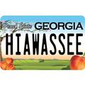 Georgia License Plate