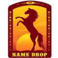 Name Drop