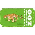 Cheetah Ticket