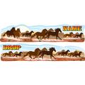 Wild Horses 