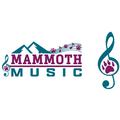 MMS Band Teal Purple