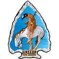 Gallup, NM