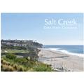 Salt Creek Dana Point California