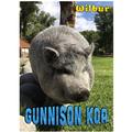 Gunnison KOA Wilbur: