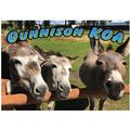 Gunnison KOA three donkeys