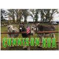 Gunnison KOA 3 donkeys with flag