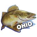 Walleye Ohio