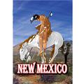 New Mexico