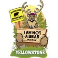 I Am Not a Bear