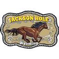 Jackson Hole, Wyoming
