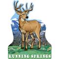 Running Springs