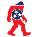 Tennessee Flag