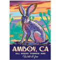 Amboy California