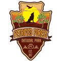 Petrified Forest National Park